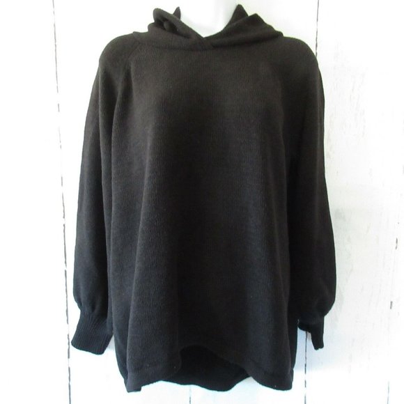 AnyBody Sweaters - AnyBody Hoodie Sweater Pullover QVC Lounge Cozy